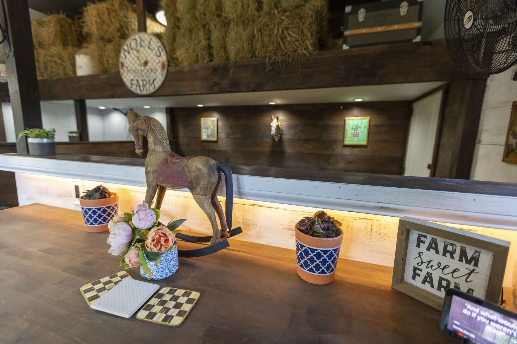 At home: Katherine Noll